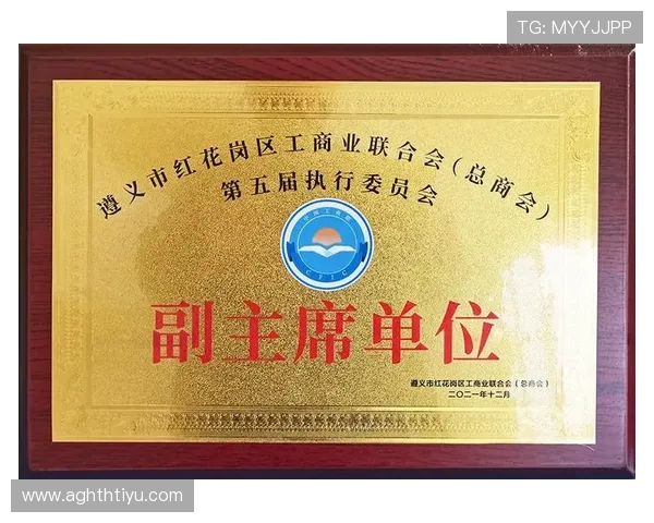 华体会正规网址全面解析，帮助玩家轻松找到官方登录渠道避免虚假网站
